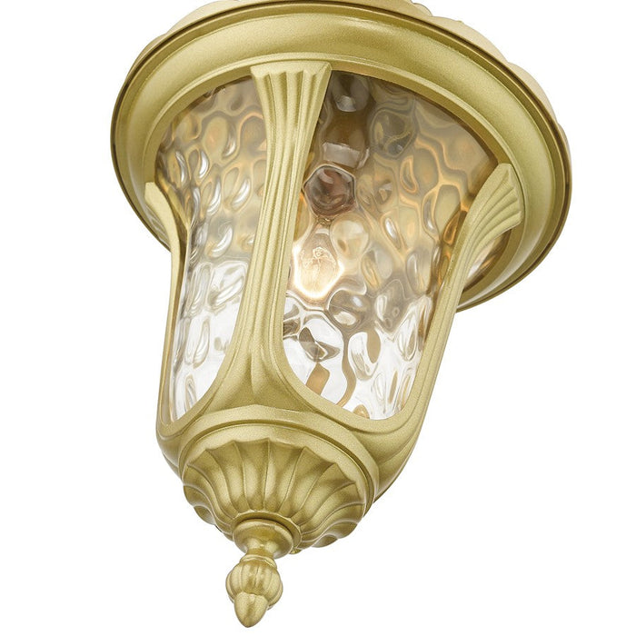 Livex Oxford 1 Lt Outdoor Med Pendant Lantern, Gold/Clear Water