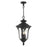 Livex Oxford 3 Light Outdoor Pendant Lantern, Textured Black - 7858-14