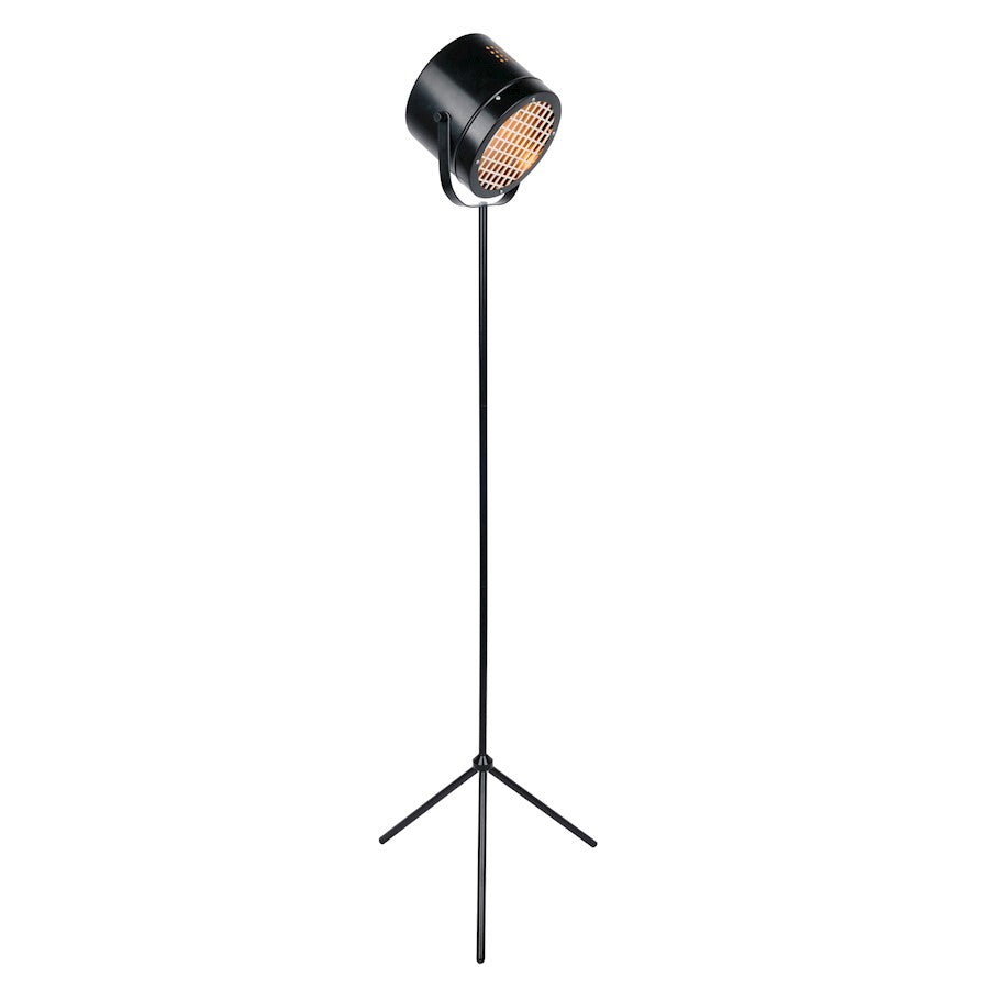 Lite Source Lucine Director's 1 Light Floor Lamp, Black, 40W - LS-82962