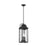 Feiss Wellsworth 3-Lt Outdoor 9" Pendant, Black/Clear - OL13209TXB