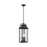 Visual Comfort Studio Wellsworth 3-Lt Outdoor 9" Pendant, Black