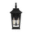 Murray Feiss Warren 2-Light Outdoor Wall Lantern, Black/ClearÂ Glass - OL15401TXB