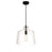 Minka Lavery 1 Light 13" Pendant, Coal/Clear - 2336-66A