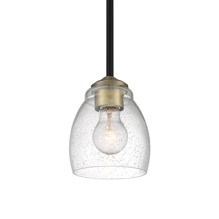 Minka Lavery Winsley 1 Light Mini Pendant, Coal/Stained Brass - 2430-878