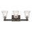 Minka Lavery Graham Avenue 3 Light Bath Vanity, Smoked Iron/Nickel