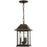 Minka Lavery Mariner's Pointe 3 Light Chain Hung Lantern - 72634-143C