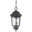 Great Outdoors Peale Street 3 Light Chain Hung, Coal/Gold/Ribbed - 73236-738