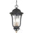 Great Outdoors Peale Street 4 Light Chain Hung, Coal/Gold/Ribbed - 73237-738