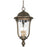 Great Outdoors Havenwood 4 Light Chain Hung, Bronze/ Silver/Clear - 73247-748