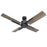 Modern Forms Cervantes 1 Light 2700K, Ceiling Fan, Black