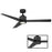 Modern Forms Lotus 1 Light, Ceiling Fan, Black