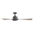 Modern Forms Osprey 1 Light, Ceiling Fan, Black