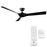 Modern Forms Torque 3-Blade 58" Ceiling Fan, Remote Control