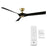 Modern Forms Torque 3-Blade 58" Ceiling Fan, Remote Control