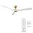 Modern Forms Torque 3-Blade 58" Ceiling Fan, Remote Control