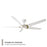 Modern Forms Lucid 5 Blade Ceiling Fan