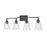 Millennium Lighting Caily 4 Light Vanity, Clear