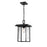 Millennium Adair 1 Light 13" Outdoor Hanging Lantern, Black - 2625-PBK