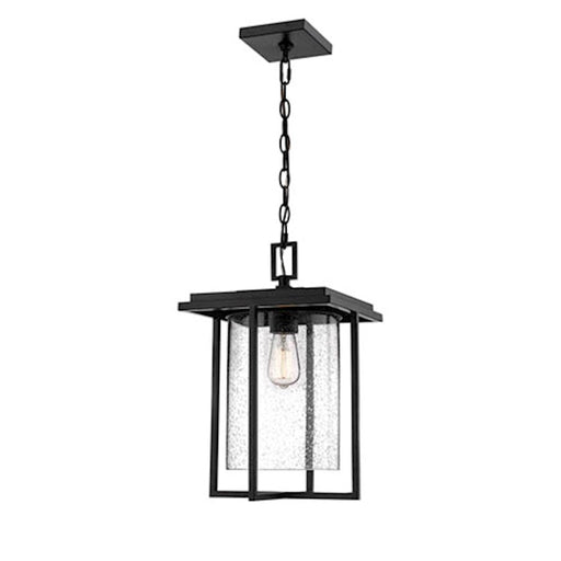 Millennium Adair 1 Light 13" Outdoor Hanging Lantern, Black - 2625-PBK