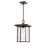 Millennium Adair 1 Light 13" Outdoor Hanging Lantern, Bronze - 2625-PBZ