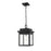 Millennium Belle Chasse 1 Light 17" Outdoor Hanging Lantern, Black - 2665-PBK