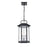 Millennium Lighting Ellis 3 Light Outdoor Hanging Lantern, Black/Seed - 2687-PBK