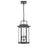 Millennium Lighting Ellis 3 Light Outdoor Hanging Lantern, BZ/Seed - 2687-PBZ