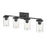 Millennium Lighting Verlana 4 Light Vanity, Clear