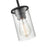 Millennium Lighting Verlana 1 Light Pendant, Clear