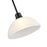 Millennium Lighting Amberle 1 Light Mini-Pendant, Black/Frosted