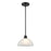 Millennium Lighting Amberle 1 Light Mini-Pendant, Black/Frosted