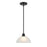 Millennium Lighting Amberle 1 Light Mini-Pendant, Black/Frosted