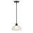 Millennium Lighting Amberle 1 Light Mini-Pendant, Black/Frosted