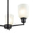 Millennium Lighting Amberle Chandelier, Black/Frosted White