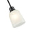 Millennium Lighting Amberle 1 Light Mini-Pendant, Black/Frosted