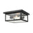 Millennium Lighting Evanton 2 Light Outdoor Flush Mount