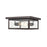 Millennium Lighting Evanton 2 Light Outdoor Flush Mount