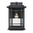 Millennium Armington 1 Light 15" Outdoor Hanging Lantern, Black/Clear - 4152-PBK