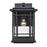 Millennium Armington 1 Light Outdoor Hanging Lantern, Black/Clear