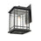 Millennium Armington 1 Light Outdoor Hanging Lantern, Black/Clear