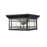 Millennium Armington 1 Light 11" Outdoor Flush Mount, Black/Clear - 4154-PBK