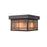 Millennium Brockston 1 Light Outdoor Flush Mount, Bronze/Tea Stained