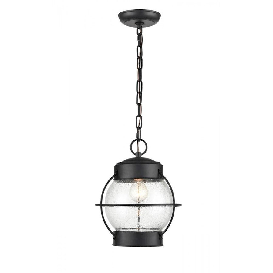 Millennium 4172 Aremelo 1 Light 12" Outdoor Hanging Lantern, Black - 4172-PBK