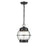 Millennium Aremelo 1 Light Outdoor Hanging Lantern, Black/Seeded - 4172-PBK