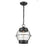 Millennium Aremelo 1 Light Outdoor Hanging Lantern, Black/Seeded