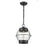 Millennium Aremelo 1 Light 12" Outdoor Hanging Lantern, Black