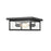Millennium Lighting Evanton 2 Lt Outdoor Flush Mount, Black/Seeded