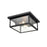 Millennium Evanton 2 Light 5.25" Outdoor Flush Mount, Clear