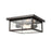 Millennium Evanton 2 Light Outdoor Flush Mount, Bronze/Clear Seeded