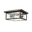 Millennium Evanton 2 Light 5.25" Outdoor Flush Mount, Clear